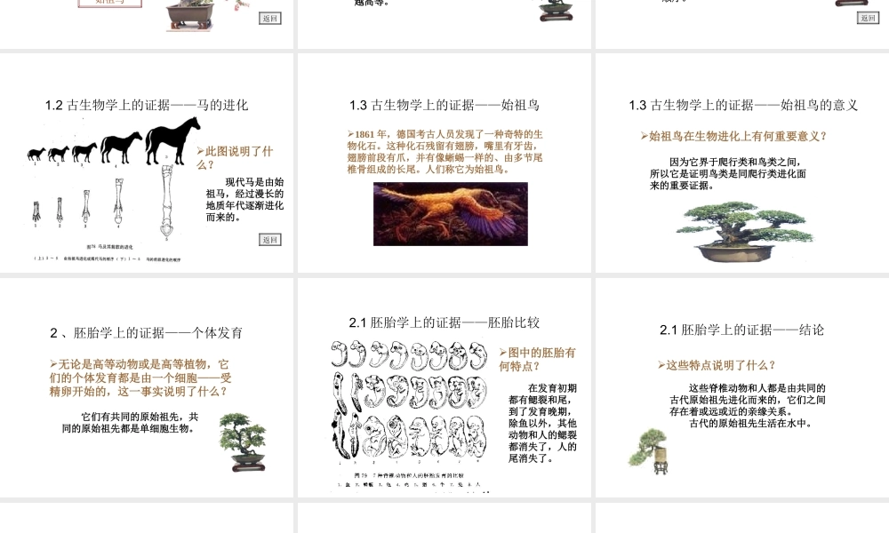 八年级生物下册 21.2《生物的进化》课件 （新版）北师大版-（新版）北师大级下册生物课件