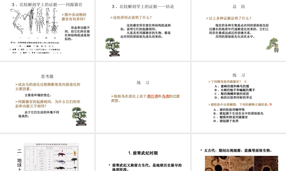 八年级生物下册 21.2《生物的进化》课件 （新版）北师大版-（新版）北师大级下册生物课件