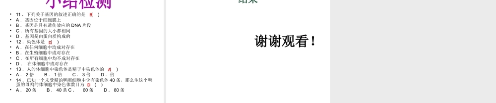 八年级生物下册 7.2.2 基因在亲子代间的传递课件 （新版）新人教版-（新版）新人教级下册生物课件