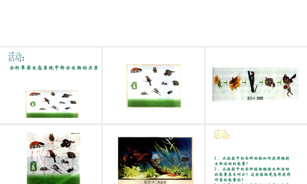 八年级生物下册 23.3《生态系统的结构和功能》课件2 （新版）北师大版-（新版）北师大版初中八年级下册生物课件