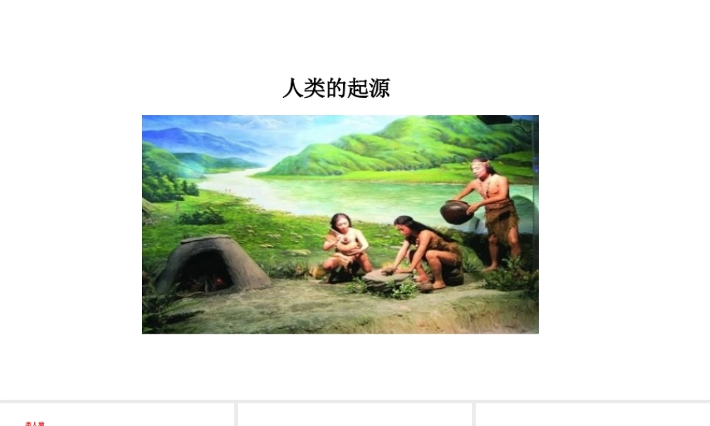 八年级生物下册 6.3.3人类的起源教学课件 （新版）冀教版-（新版）冀教级下册生物课件