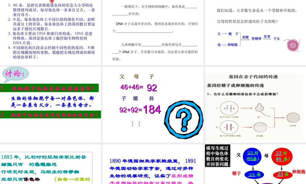 八年级生物下册 7.2.2 基因在亲子代间的传递课件1 新人教版
