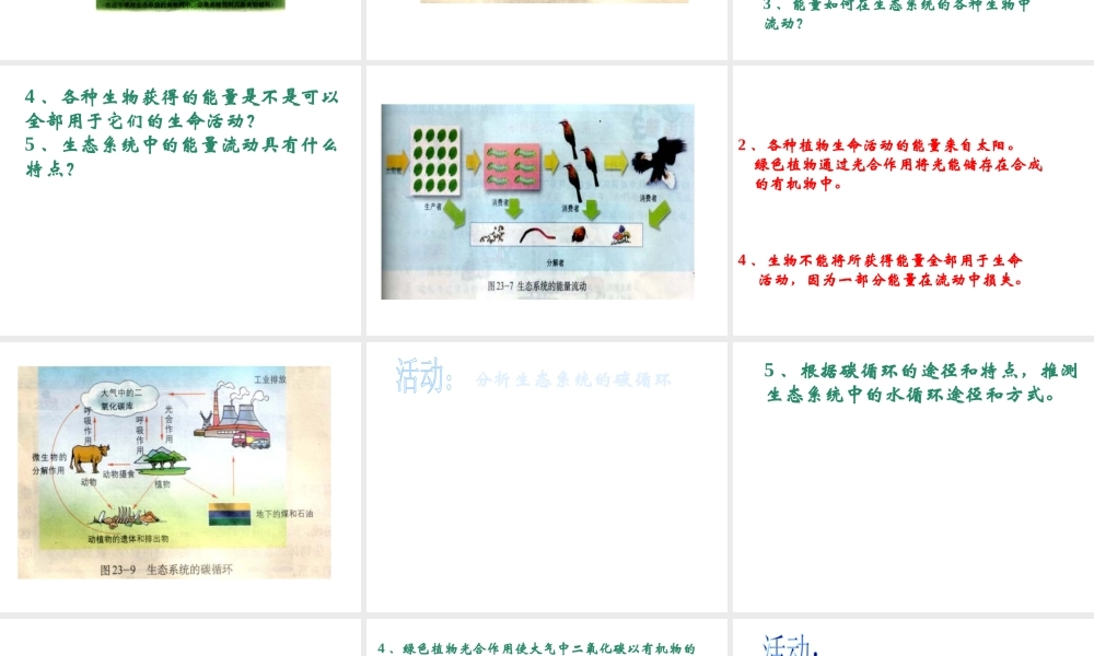 八年级生物下册 23.3《生态系统的结构和功能》课件2 （新版）北师大版-（新版）北师大级下册生物课件