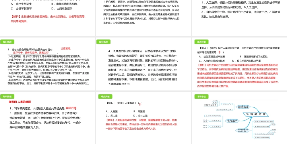 八年级生物下册 6.3生生物的起源与进化课件 （新版）冀教版-（新版）冀教版初中八年级下册生物课件