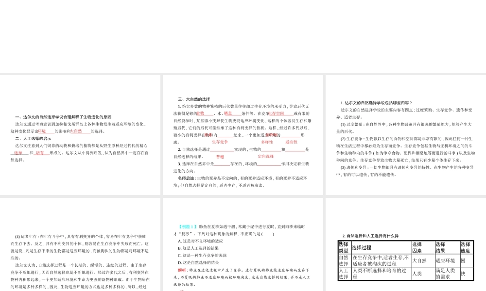八年级生物下册 21.2生物的进化课件2 （新版）北师大版-（新版）北师大版初中八年级下册生物课件