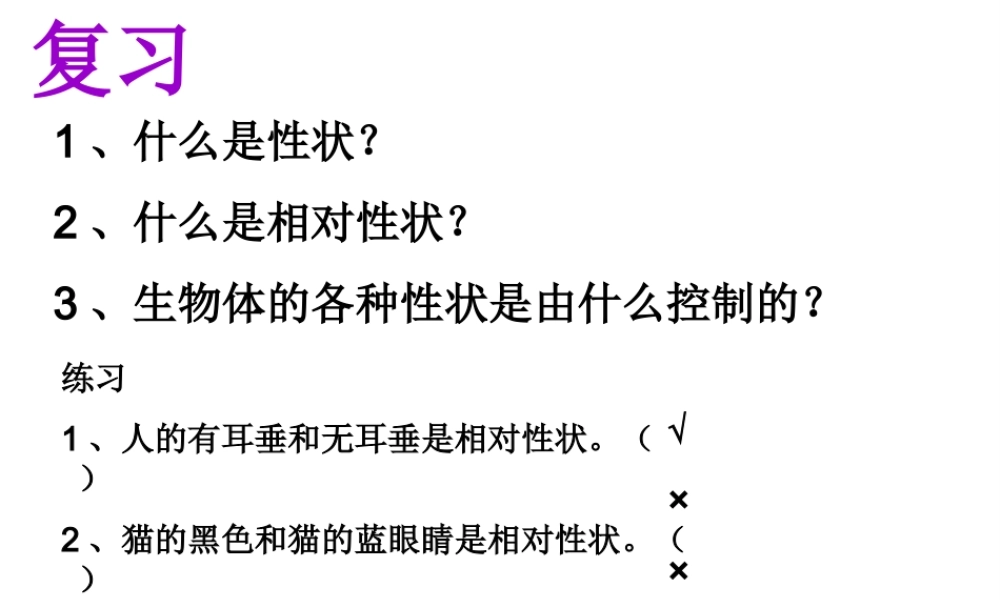 八年级生物下册 7.2.2 基因在亲子代间的传递课件2 新人教版