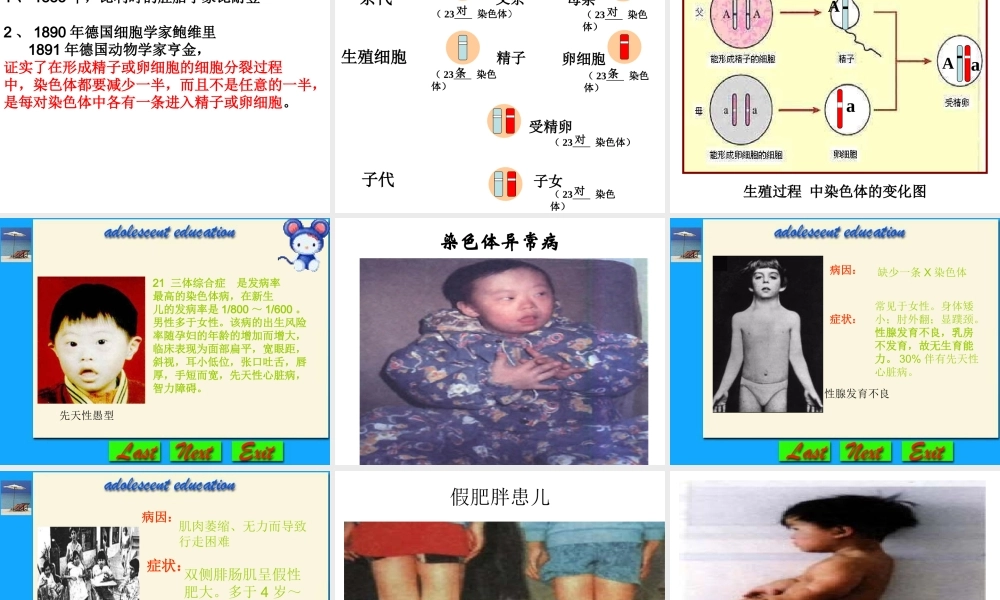 八年级生物下册 7.2.2 基因在亲子代间的传递课件2 新人教版