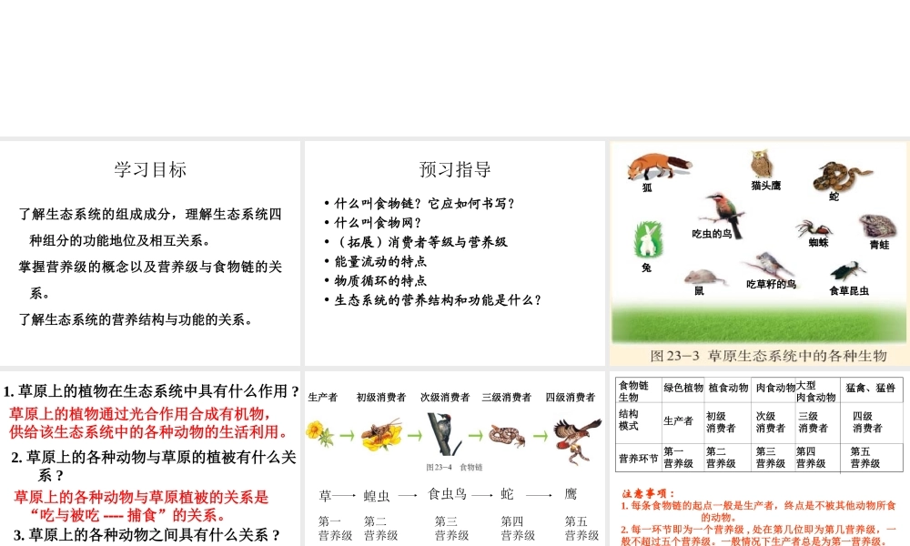 八年级生物下册 23.3生态系统的结构和功能课件 （新版）北师大版-（新版）北师大版初中八年级下册生物课件