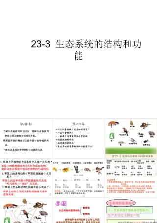 八年级生物下册 23.3生态系统的结构和功能课件 （新版）北师大版-（新版）北师大版初中八年级下册生物课件