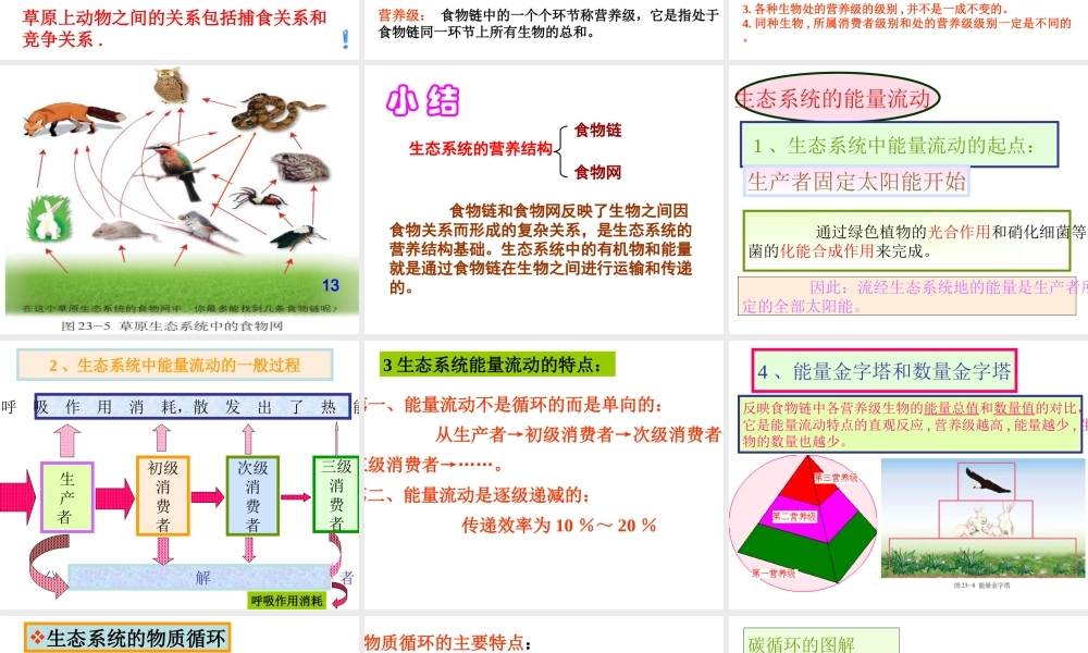 八年级生物下册 23.3生态系统的结构和功能课件 （新版）北师大版-（新版）北师大级下册生物课件