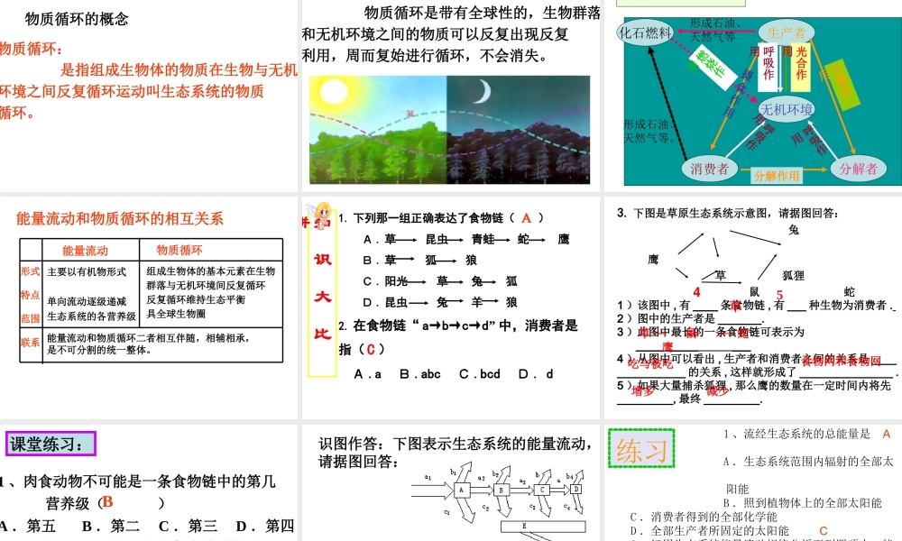 八年级生物下册 23.3生态系统的结构和功能课件 （新版）北师大版-（新版）北师大级下册生物课件