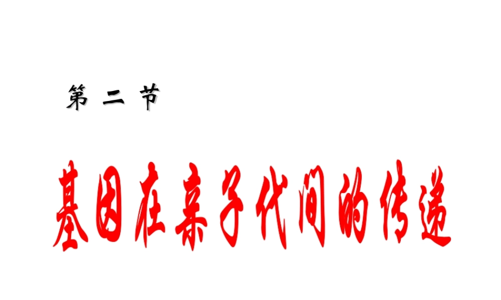 八年级生物下册 7.2.2 基因在亲子间的传递课件1 （新版）新人教版