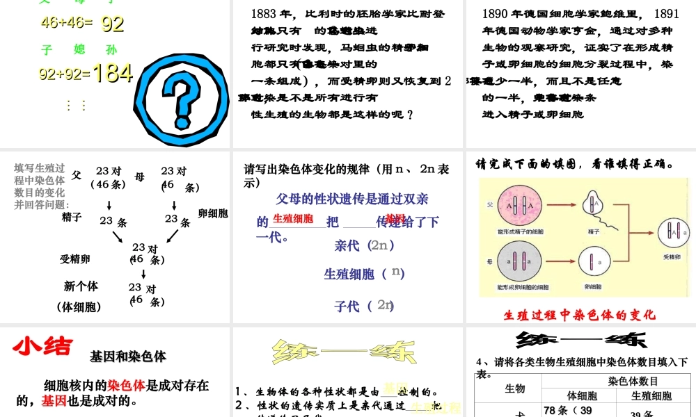 八年级生物下册 7.2.2 基因在亲子间的传递课件1 （新版）新人教版