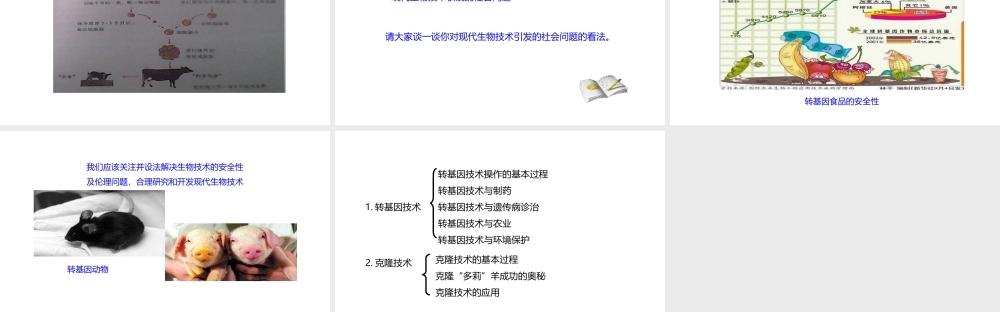 八年级生物下册 6.4 现代生物技术课件 （新版）冀教版-（新版）冀教级下册生物课件
