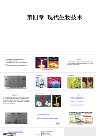 八年级生物下册 6.4 现代生物技术课件 （新版）冀教版-（新版）冀教级下册生物课件