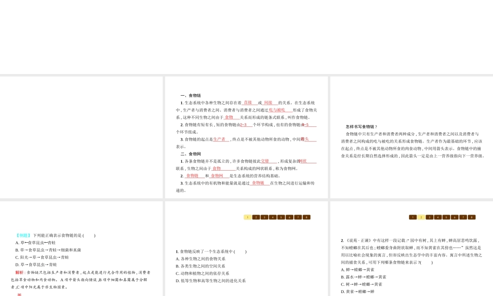 八年级生物下册 23.3生态系统的结构和功能课件1 （新版）北师大版-（新版）北师大级下册生物课件