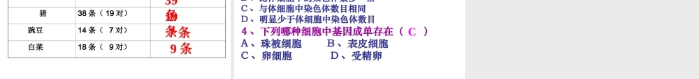 八年级生物下册 7.2.2 基因在亲子间的传递课件2 （新版）新人教版