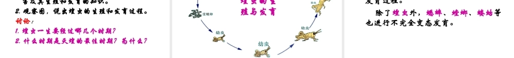 八年级生物下册 21.3 昆虫的生殖和发育课件 （新版）苏教版-（新版）苏教版初中八年级下册生物课件