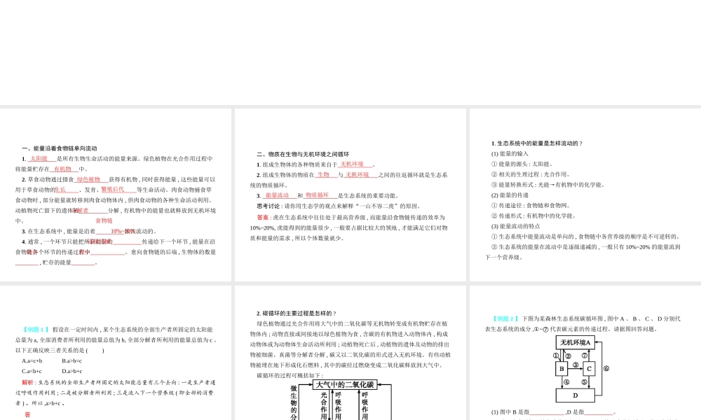 八年级生物下册 23.3生态系统的结构和功能课件2 （新版）北师大版-（新版）北师大版初中八年级下册生物课件