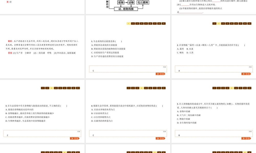 八年级生物下册 23.3生态系统的结构和功能课件2 （新版）北师大版-（新版）北师大版初中八年级下册生物课件
