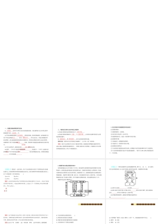 八年级生物下册 23.3生态系统的结构和功能课件2 （新版）北师大版-（新版）北师大版初中八年级下册生物课件