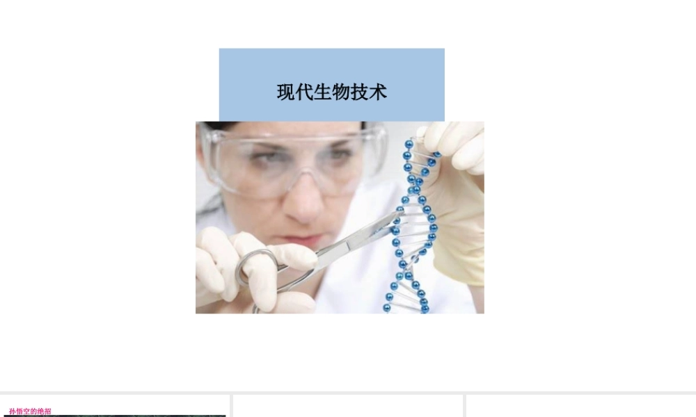 八年级生物下册 6.4现代生物技术教学课件 （新版）冀教版-（新版）冀教级下册生物课件