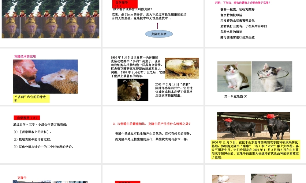 八年级生物下册 6.4现代生物技术教学课件 （新版）冀教版-（新版）冀教级下册生物课件