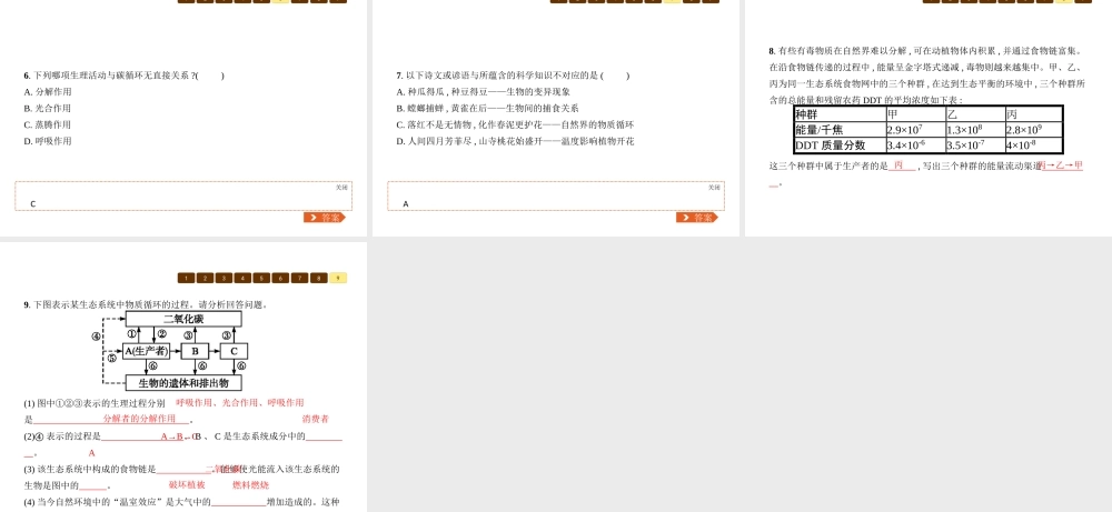 八年级生物下册 23.3生态系统的结构和功能课件2 （新版）北师大版-（新版）北师大级下册生物课件