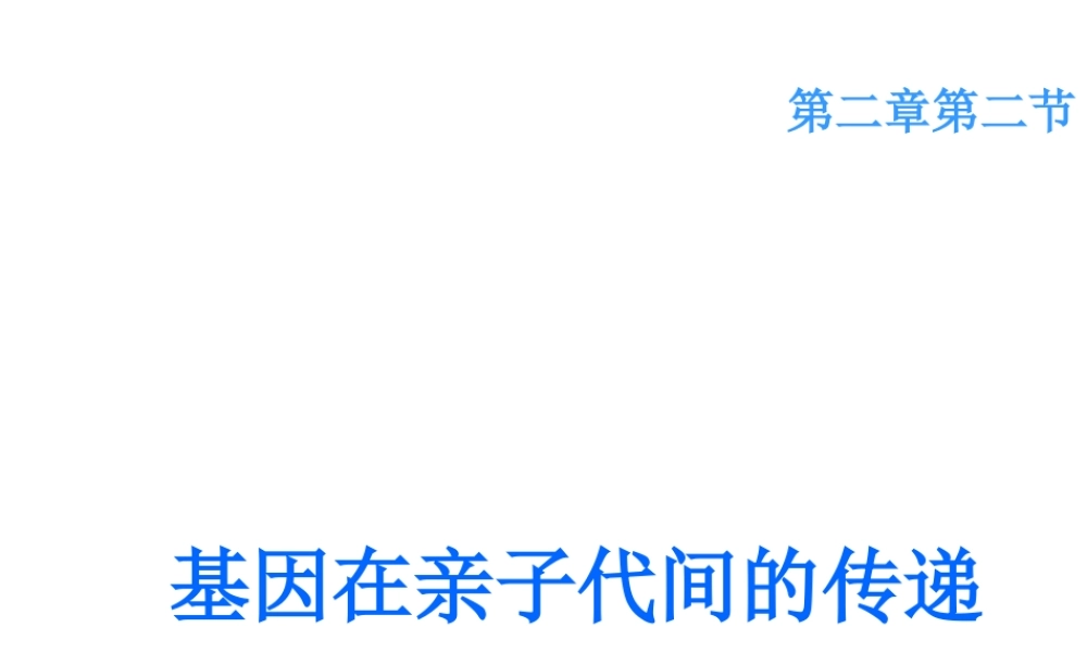 八年级生物下册 7.2.2 基因在亲子间的传递课件4 （新版）新人教版