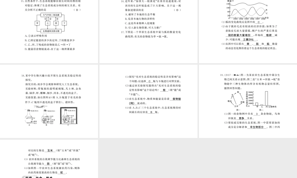 八年级生物下册 23.4 生态系统的稳定性课件 （新版）北师大版-（新版）北师大版初中八年级下册生物课件