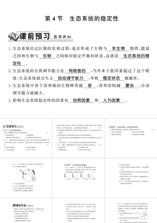 八年级生物下册 23.4 生态系统的稳定性课件 （新版）北师大版-（新版）北师大版初中八年级下册生物课件