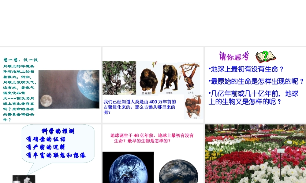 八年级生物下册 7.3.1 地球上生命的起源课件4 （新版）新人教版-（新版）新人教级下册生物课件