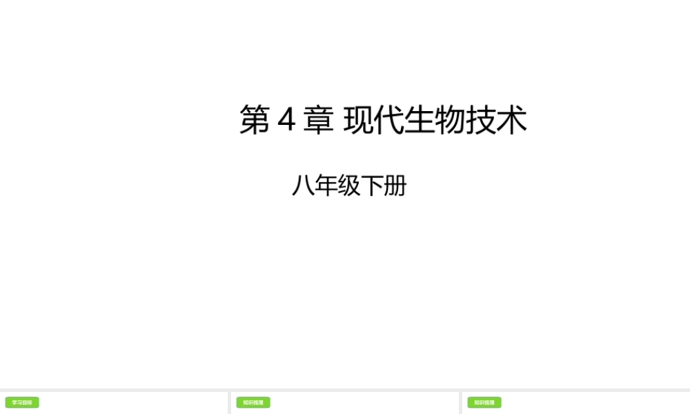 八年级生物下册 6.4现代生物技术课件 （新版）冀教版-（新版）冀教级下册生物课件
