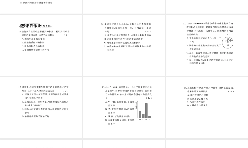 八年级生物下册 23.4 生态系统的稳定性课件 （新版）北师大版-（新版）北师大级下册生物课件