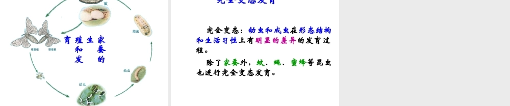 八年级生物下册 21.3 昆虫的生殖与发育课件 （新版）苏教版-（新版）苏教版初中八年级下册生物课件