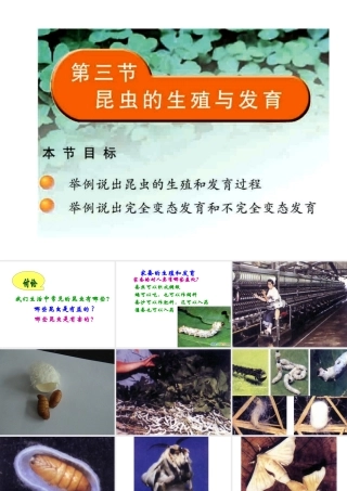 八年级生物下册 21.3 昆虫的生殖与发育课件 （新版）苏教版-（新版）苏教版初中八年级下册生物课件