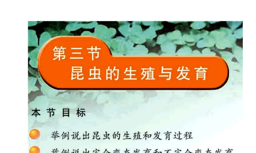 八年级生物下册 21.3 昆虫的生殖与发育课件 （新版）苏教版-（新版）苏教级下册生物课件