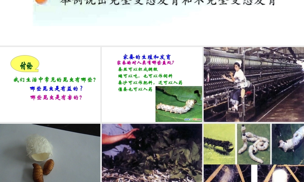 八年级生物下册 21.3 昆虫的生殖与发育课件 （新版）苏教版-（新版）苏教级下册生物课件