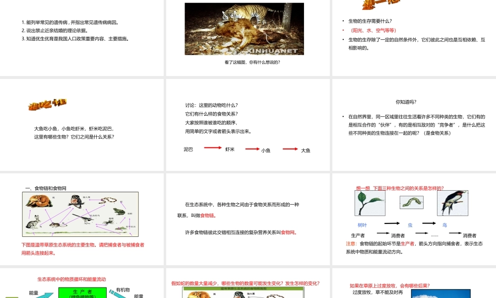 八年级生物下册 7.2.2 食物链和食物网课件 （新版）冀教版-（新版）冀教版初中八年级下册生物课件