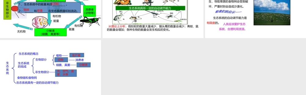 八年级生物下册 7.2.2 食物链和食物网课件 （新版）冀教版-（新版）冀教版初中八年级下册生物课件