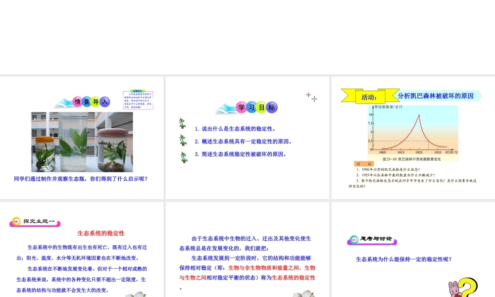 八年级生物下册 23.4 生态系统的稳定性课件 北师大版-北师大级下册生物课件