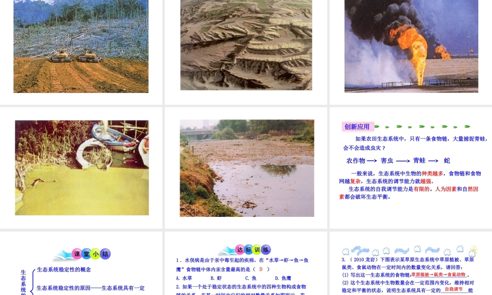 八年级生物下册 23.4 生态系统的稳定性课件 北师大版-北师大级下册生物课件