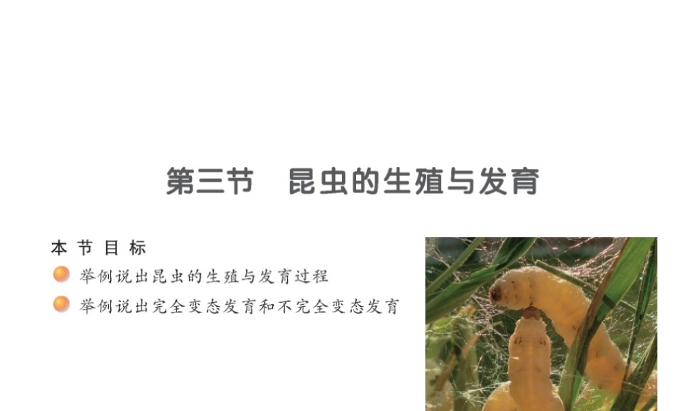 八年级生物下册 21.3 昆虫的生殖与发育课件 苏教版-苏教版初中八年级下册生物课件