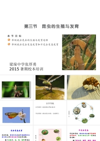 八年级生物下册 21.3 昆虫的生殖与发育课件 苏教版-苏教版初中八年级下册生物课件