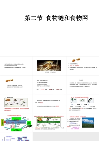 八年级生物下册 7.2.2 食物链和食物网课件 （新版）冀教版-（新版）冀教级下册生物课件