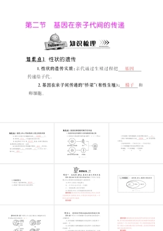 八年级生物下册 7.2.2《基因在亲子代间的传递》配套课件 人教新课标版