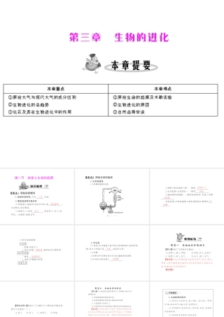 八年级生物下册 7.3.1,《地球上生命的起源》配套课件 人教新课标版