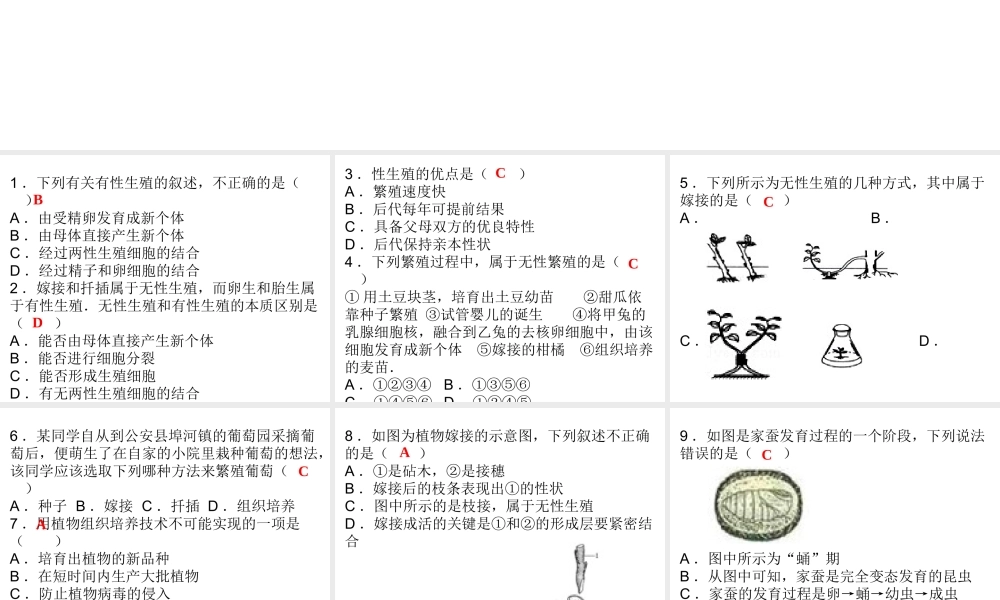 八年级生物下册 7.1 生物的生殖和发育综合检测课件 （新版）新人教版-（新版）新人教版初中八年级下册生物课件