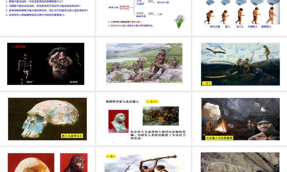 八年级生物下册 21.3 人类的起源与进化课件 （新版）北师大版-（新版）北师大级下册生物课件