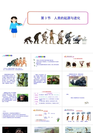 八年级生物下册 21.3 人类的起源与进化课件 （新版）北师大版-（新版）北师大级下册生物课件